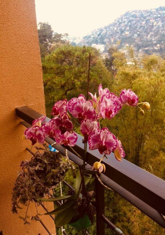 Courtyards Peak-Corner Pinestay - At Goshenland Baguio Baguio City Ngoại thất bức ảnh